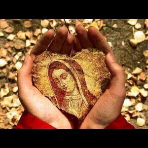 Meet your Posher, Ofelia